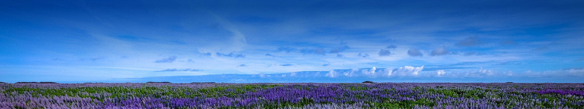 攀枝花狮子山公墓